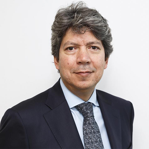 Director, Independent Evaluation Office, UNDP